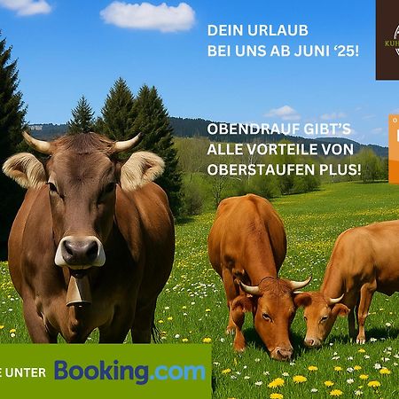 Kuh'Les Hideaway Steibis 3-Zimmer Ferienwohnung 55 M² Oberstaufen Esterno foto