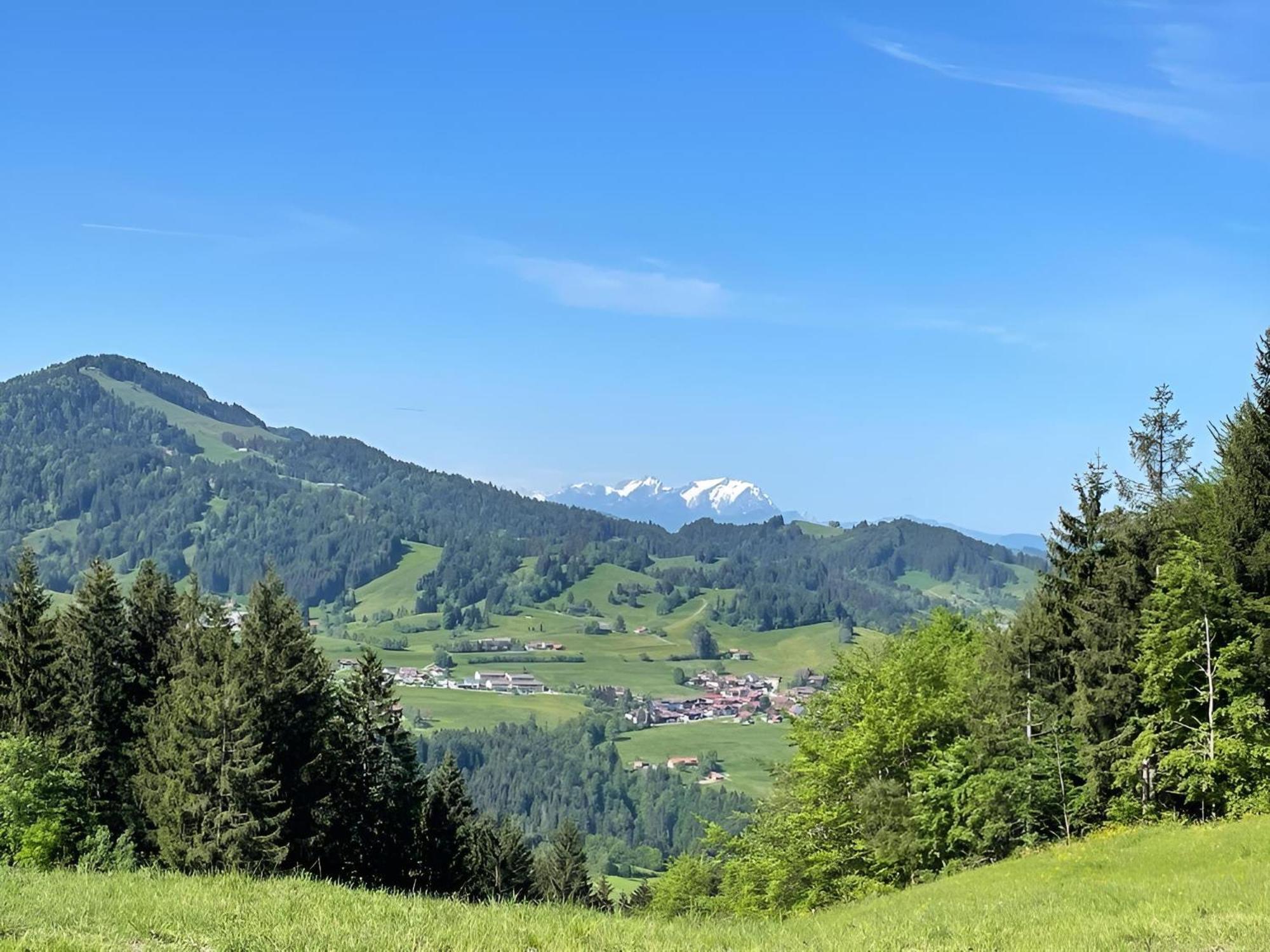 Kuh'Les Hideaway Steibis 3-Zimmer Ferienwohnung 55 M² Oberstaufen Esterno foto